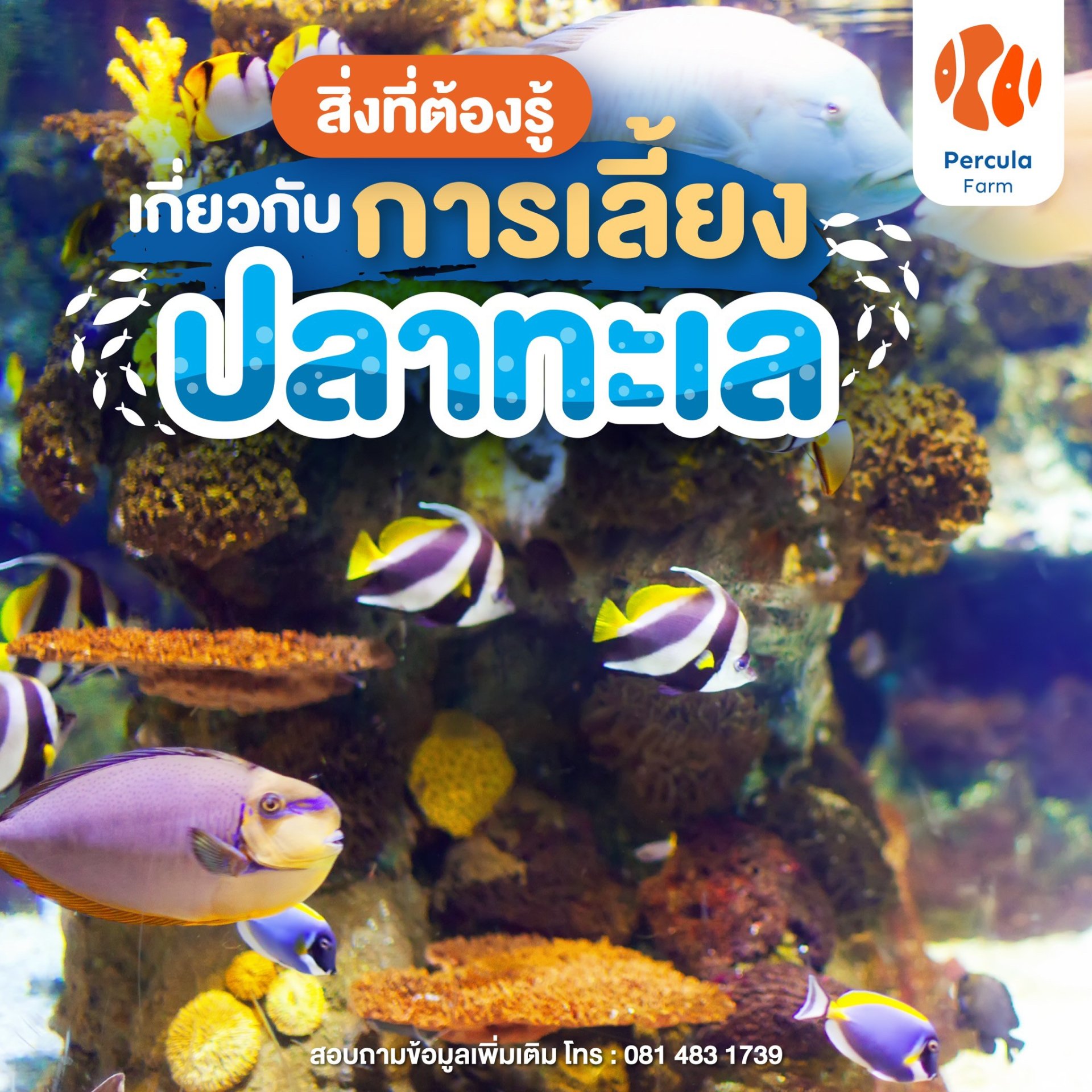 สิ่งที่ต้องรู้ เกี่ยวกับการเลี้ยงปลาทะเล