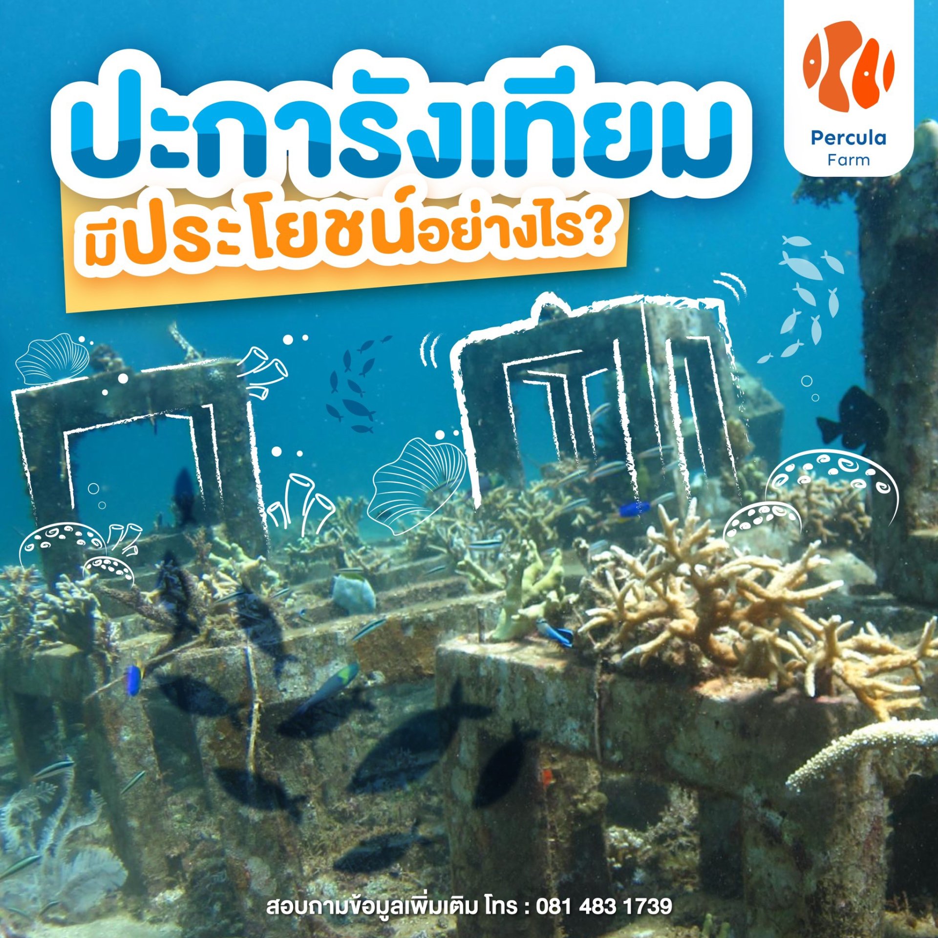 ปะการังเทียม มีประโยชน์อย่างไร