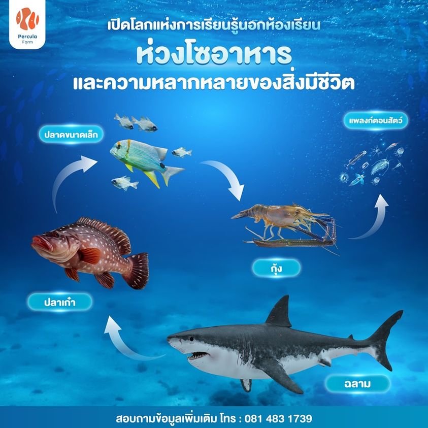 ห่วงโซ่อาหาร และ ความหลากหลายของสิ่งมีชีวิต