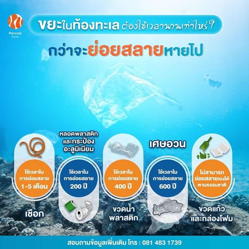 ขยะในท้องทะเล กว่าจะย่อยสลายหายไป