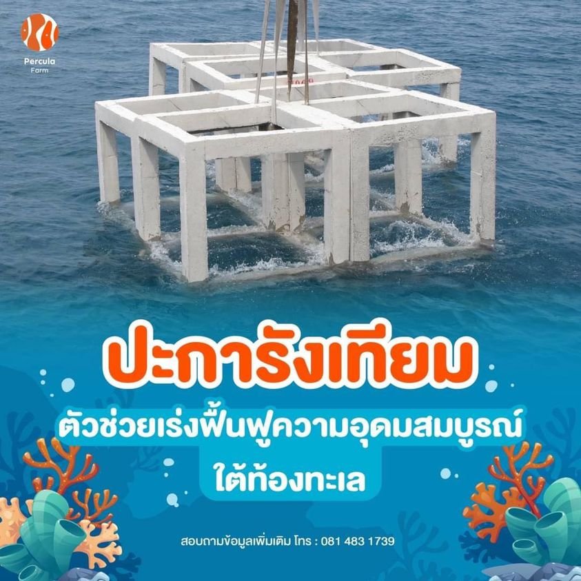 ปะการังเทียม ตัวช่วยเร่งฟื้นฟูความอุดมสมบูรณ์ ใต้ท้องทะเล