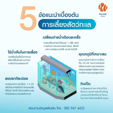 5 ข้อแนะนำสำหรับ การเลี้ยงสัตว์ทะเล 