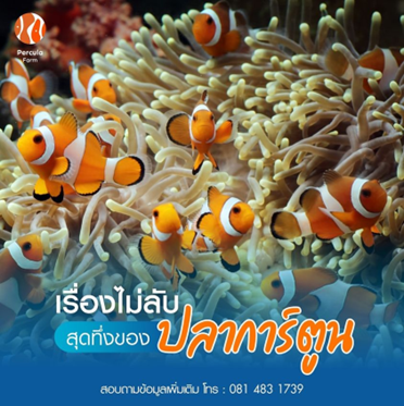 เรื่องไม่ลับ สุดทึ่ง ของปลาการ์ตูน