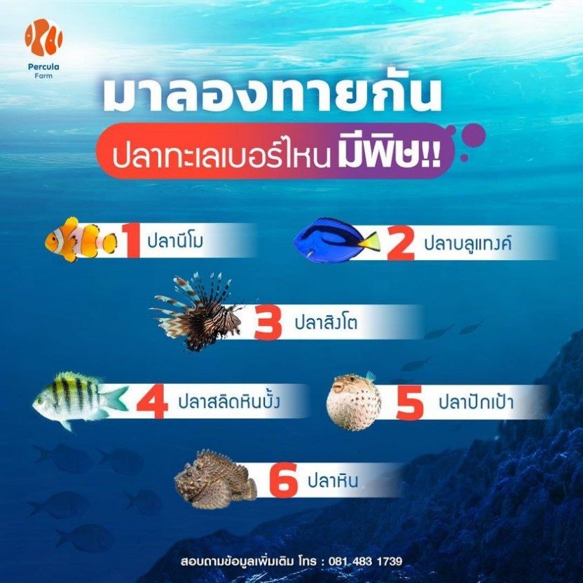 ปลาทะเล เบอร์ไหน มีพิษ