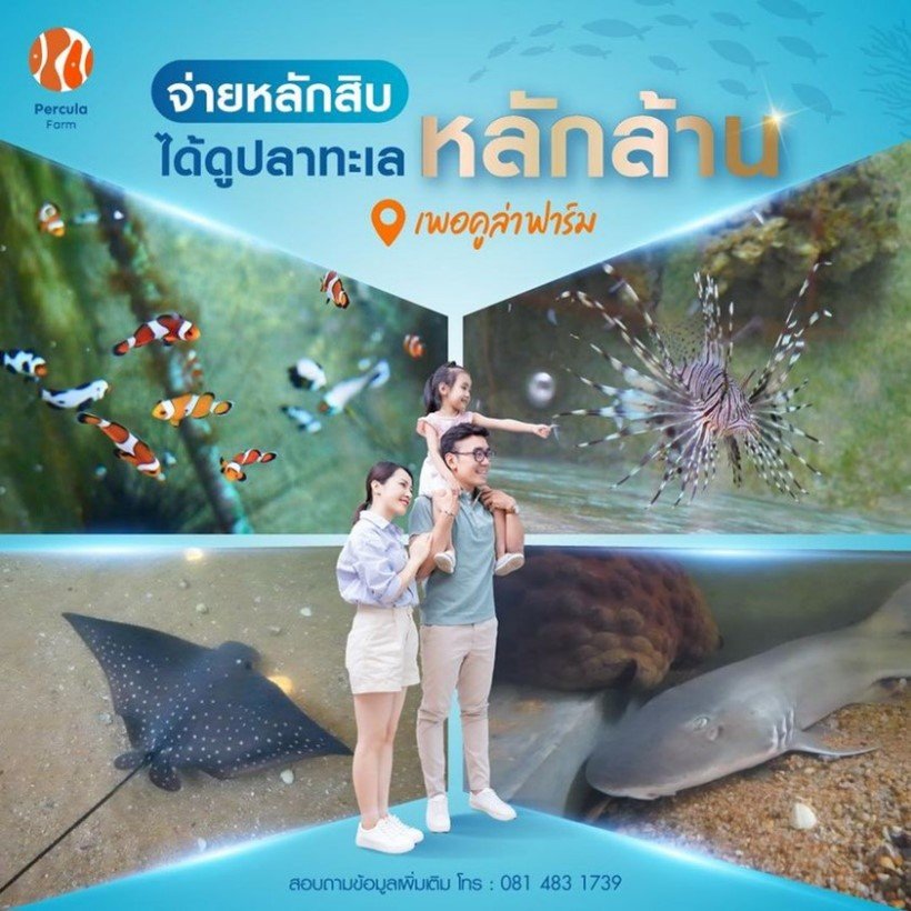 จ่ายหลักสิบ ได้ดูปลาทะเล หลักล้าน