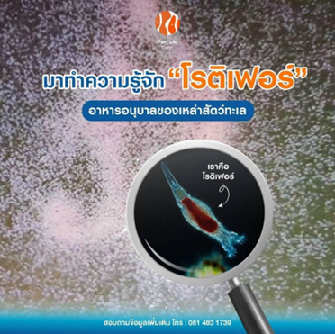 มาทำความรู้จัก โรติเฟอร์