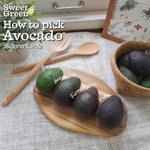 How to pick Avocado How to pick Avocado