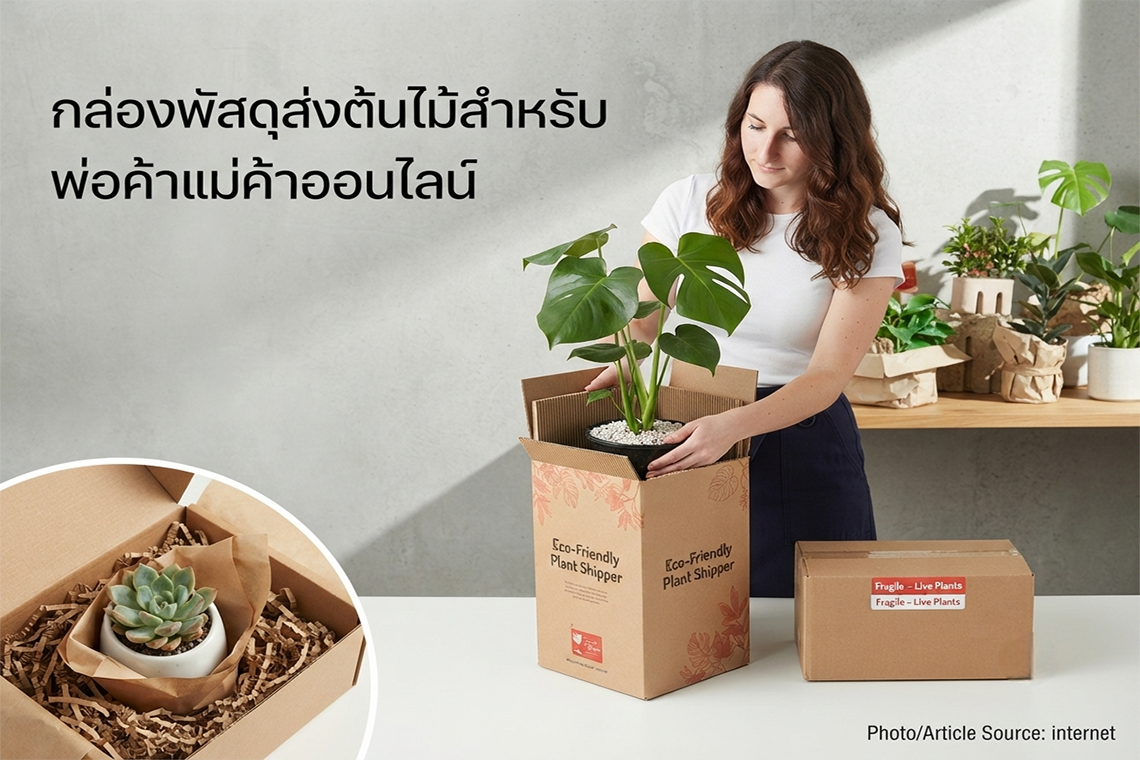 กล่องพัสดุส่งต้นไม้สำหรับพ่อค้าแม่ค้าออนไลน์