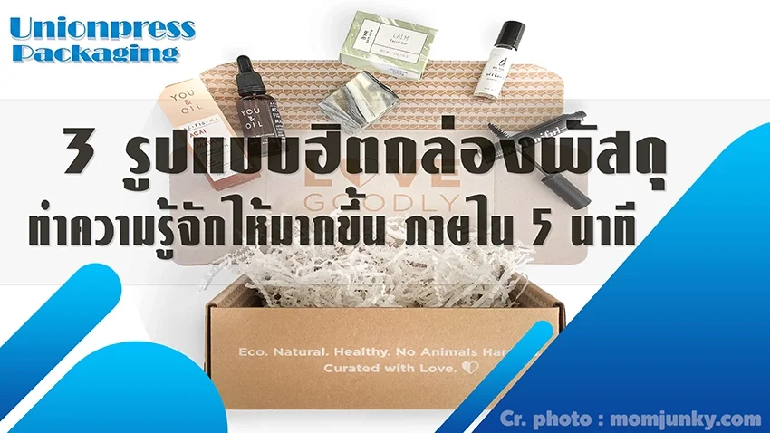 3 รูปแบบฮิตกล่องพัสดุ ทำความรู้จักให้มากขึ้น ภายใน 5 นาที 3 รูปแบบฮิตกล่องพัสดุ ทำความรู้จักให้มากขึ้น ภายใน 5 นาที