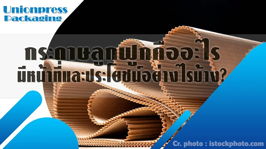 กระดาษลูกฟูกคืออะไร มีหน้าที่และประโยชน์อย่างไรบ้าง? กระดาษลูกฟูกคืออะไร มีหน้าที่และประโยชน์อย่างไรบ้าง?