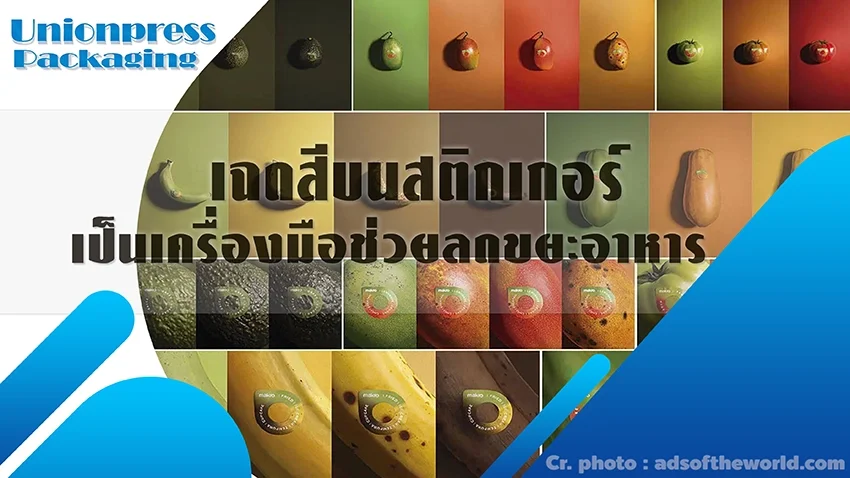 เฉดสีบนสติกเกอร์เป็นเครื่องมือช่วยลดขยะอาหาร (Food waste)