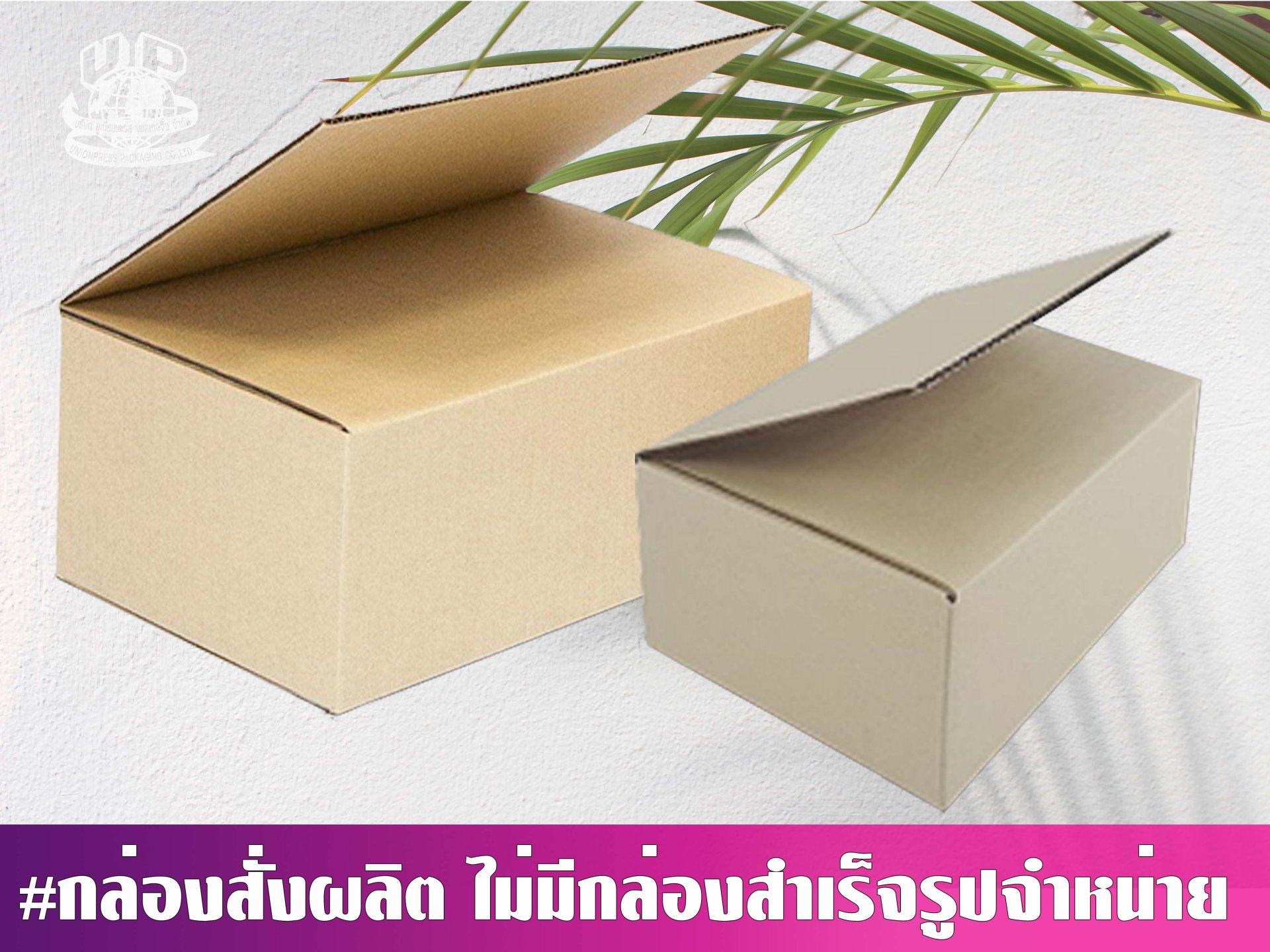 รูปแบบกล่องฝาเกย