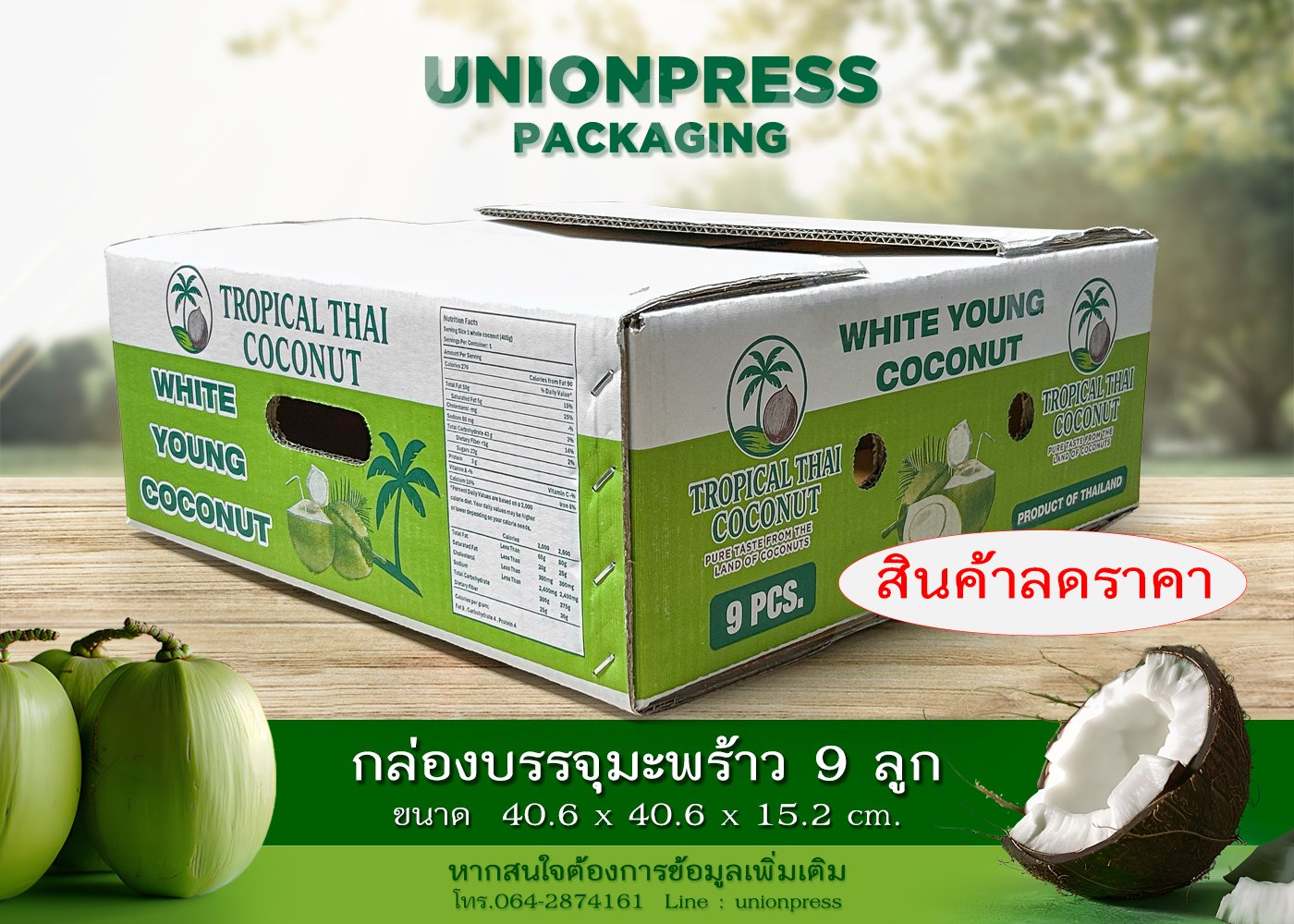 กล่องมะพร้าว 9 ลูก