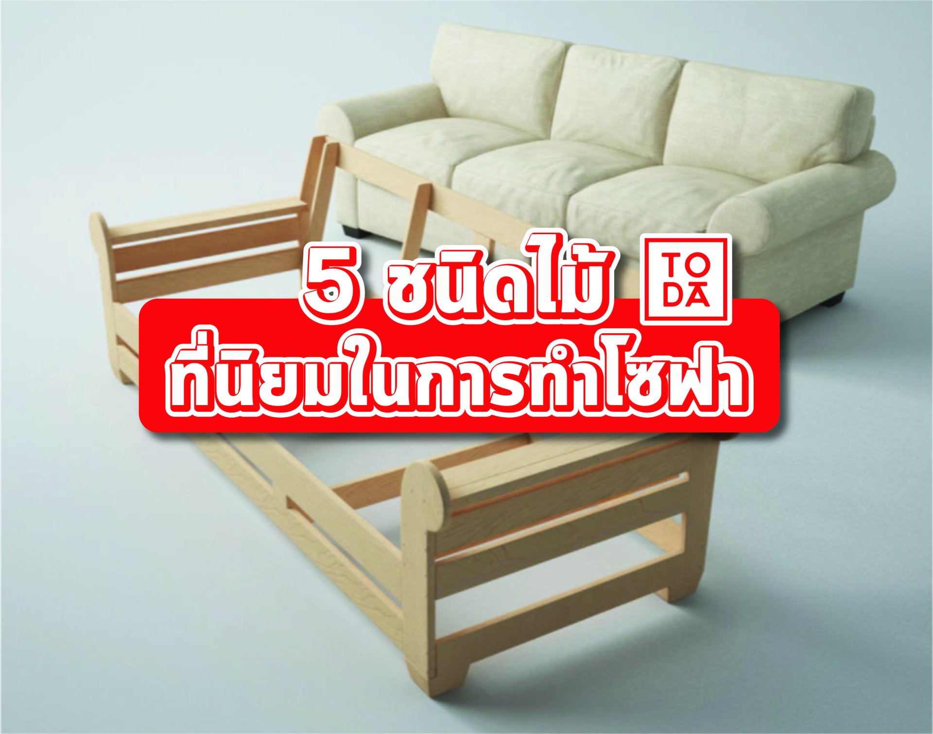 5 ชนิดไม้ ที่นิยมในการทำโซฟา 5 ชนิดไม้ ที่นิยมในการทำโซฟา