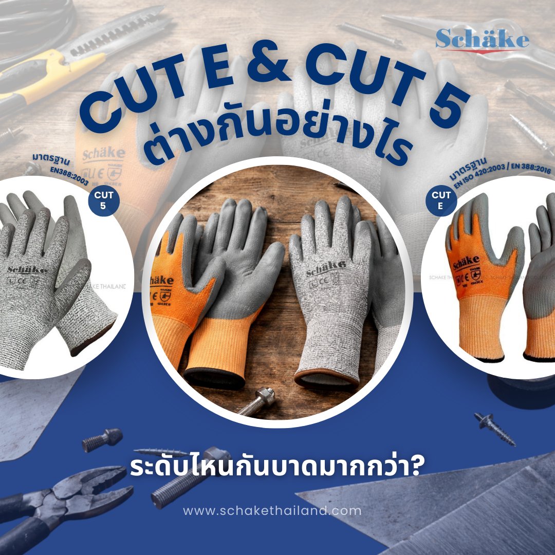 Cut E กับ Cut 5 ต่างกันอย่างไร และระดับไหนกันบาดมากกว่า? | SCHAKE