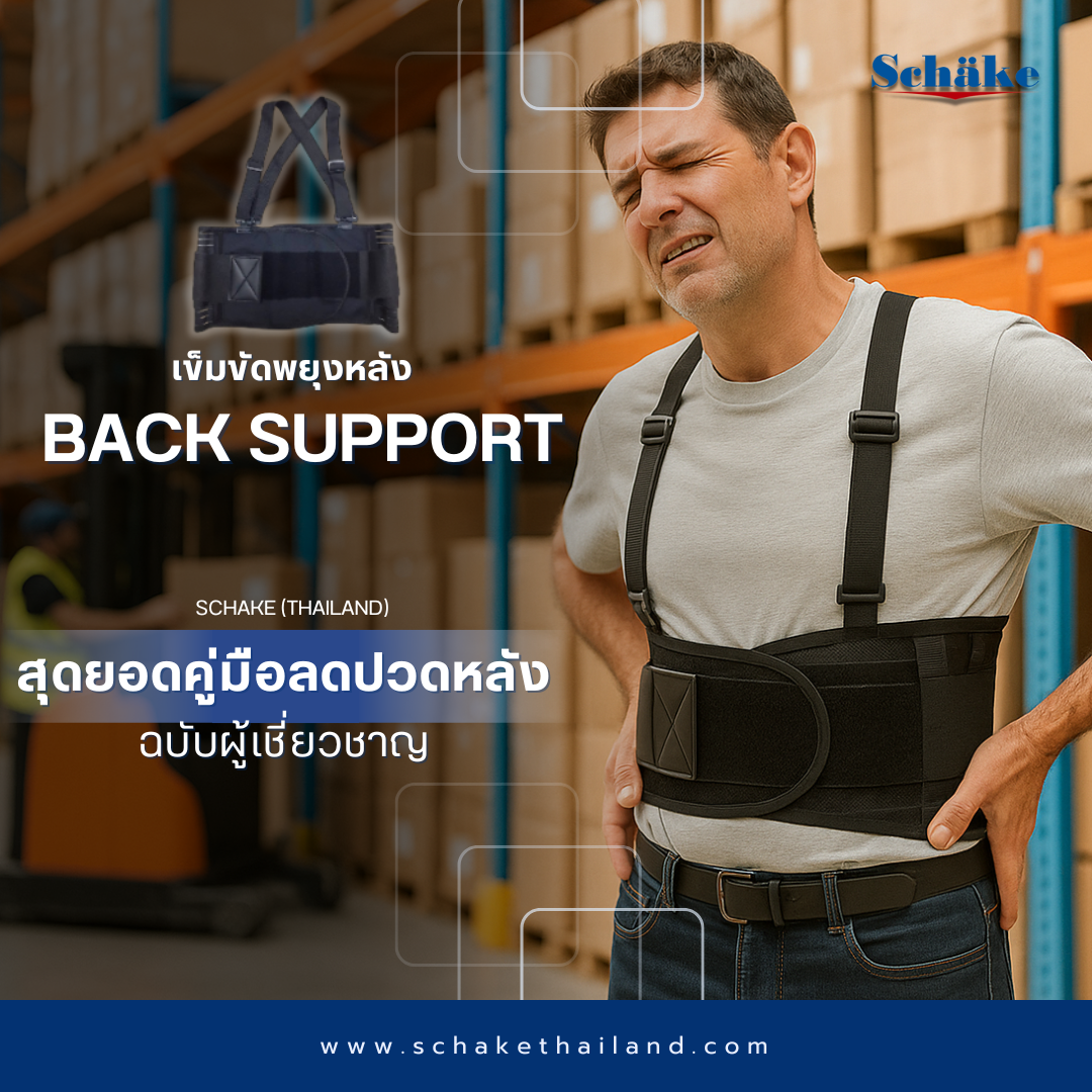 Back Support Belt: The Ultimate Guide to Reducing Back Pain by Experts | Schake (Thailand)