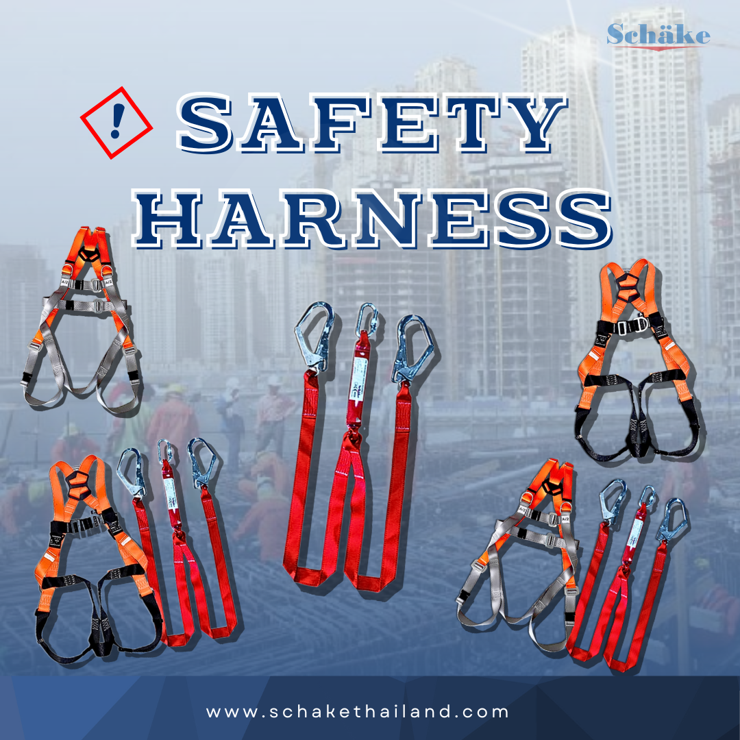 Safety Harness What is this?