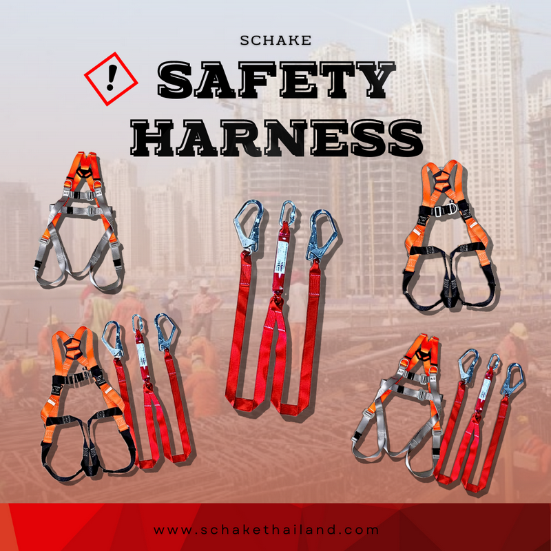 Safety Harness สิ่งนี้คืออะไร ?