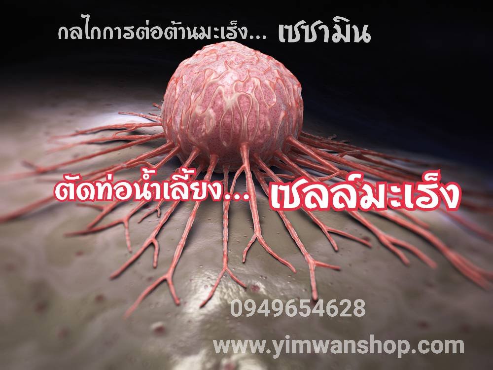 เซซามิน กับเซลล์มะเร็ง(Cancer) มีปฏิกิริยากันอย่างไร  เซซามิน กับเซลล์มะเร็ง(Cancer) มีปฏิกิริยากันอย่างไร