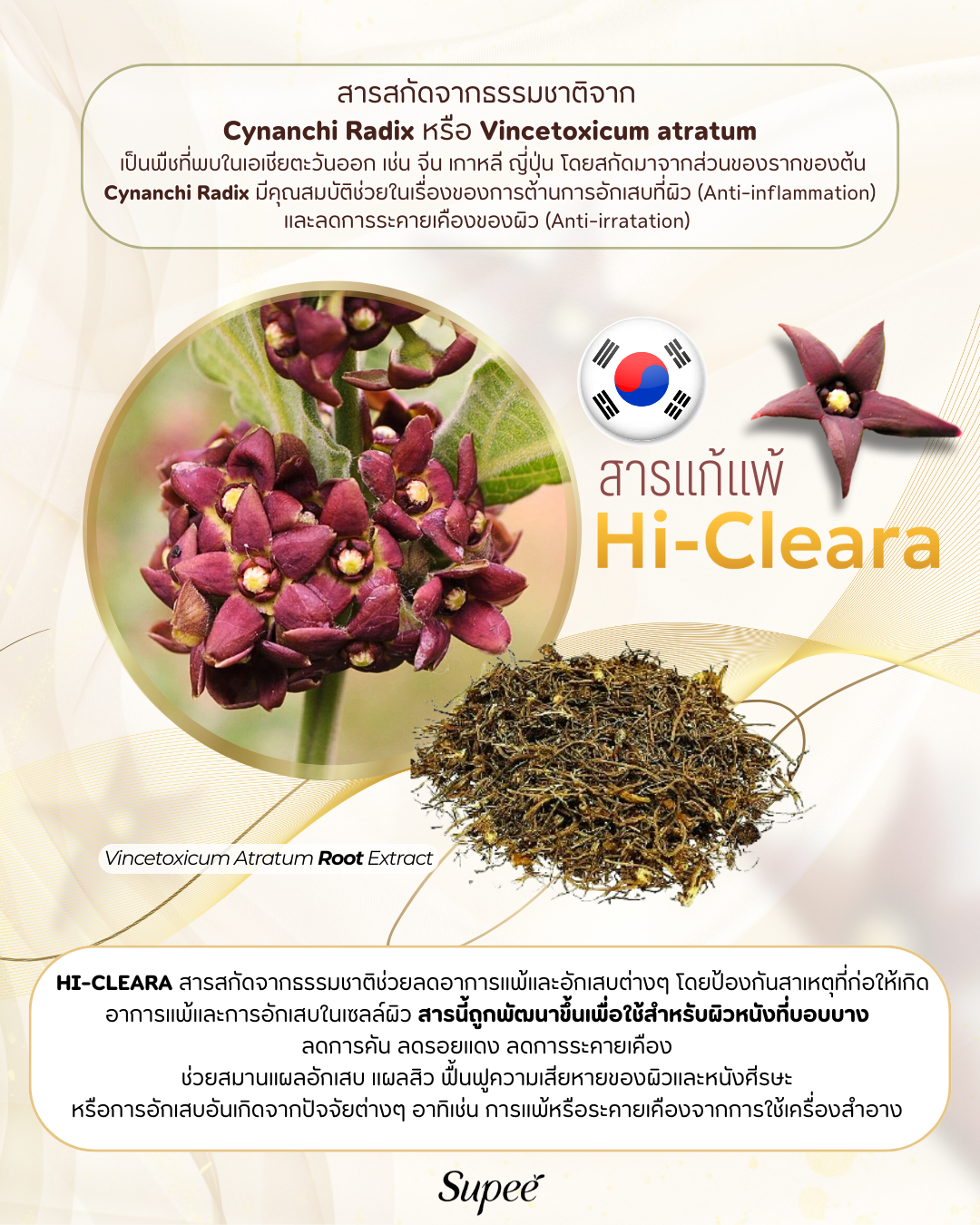 สารแก้แพ้ Hi-Cleara  สารแก้แพ้ Hi-Cleara