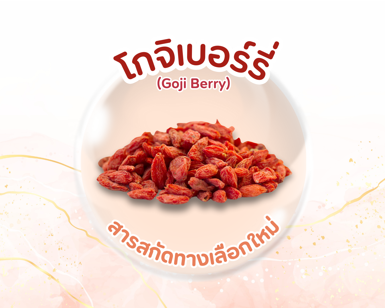 สารสกัดทางเลือกใหม่ โกจิเบอร์รี่  สารสกัดทางเลือกใหม่ โกจิเบอร์รี่