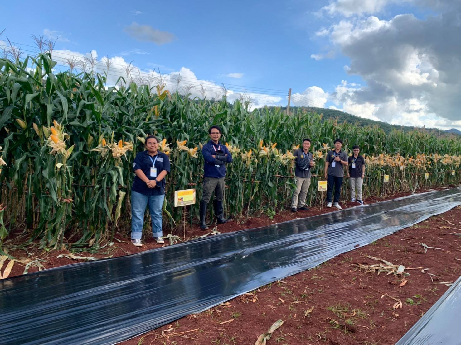 แจ้งเกิด !! พันธุ์ข้าวโพดใหม่ คณะเกษตรฯ ม.พะเยา จัดแปลงสาธิตแสดง ณ งานประชุมวิชาการข้าวโพดและข้าวฟ่างแห่งชาติ ครั้งที่ 40  แจ้งเกิด !! พันธุ์ข้าวโพดใหม่ คณะเกษตรฯ ม.พะเยา จัดแปลงสาธิตแสดง ณ งานประชุมวิชาการข้าวโพดและข้าวฟ่างแห่งชาติ ครั้งที่ 40