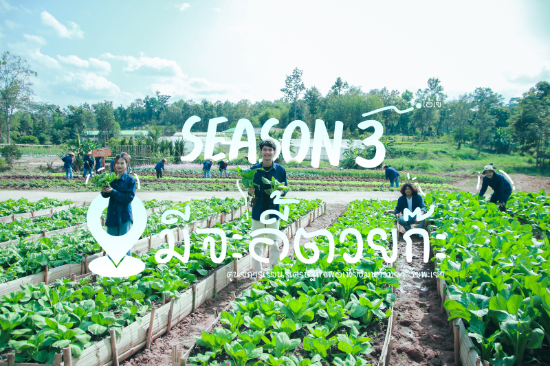 กลับมาอีกครั้ง  ซีซั่น 3 (กับ มีจะอี้ตวยก๊ะ !!) เปิ้นเปิดหื้อเฮาไปเก็บผักคนเดว ในราคาถูก ๆ " สด สะอาด ปลอดภัย " เปิดให้เข้าไปเก็บได้ ตั้งแต่วันที่ 25 มกราคม 2567 หรือจนกว่าผักจะหมด (ตั้งแต่เวลา 15.00 - 19.00 น. จันทร์ - ศุกร์ เท่านั้น) กลับมาอีกครั้ง  ซีซั่น 3 (กับ มีจะอี้ตวยก๊ะ !!) เปิ้นเปิดหื้อเฮาไปเก็บผักคนเดว ในราคาถูก ๆ " สด สะอาด ปลอดภัย " เปิดให้เข้าไปเก็บได้ ตั้งแต่วันที่ 25 มกราคม 2567 หรือจนกว่าผักจะหมด (ตั้งแต่เวลา 15.00 - 19.00 น. จันทร์ - ศุกร์ เท่านั้น)