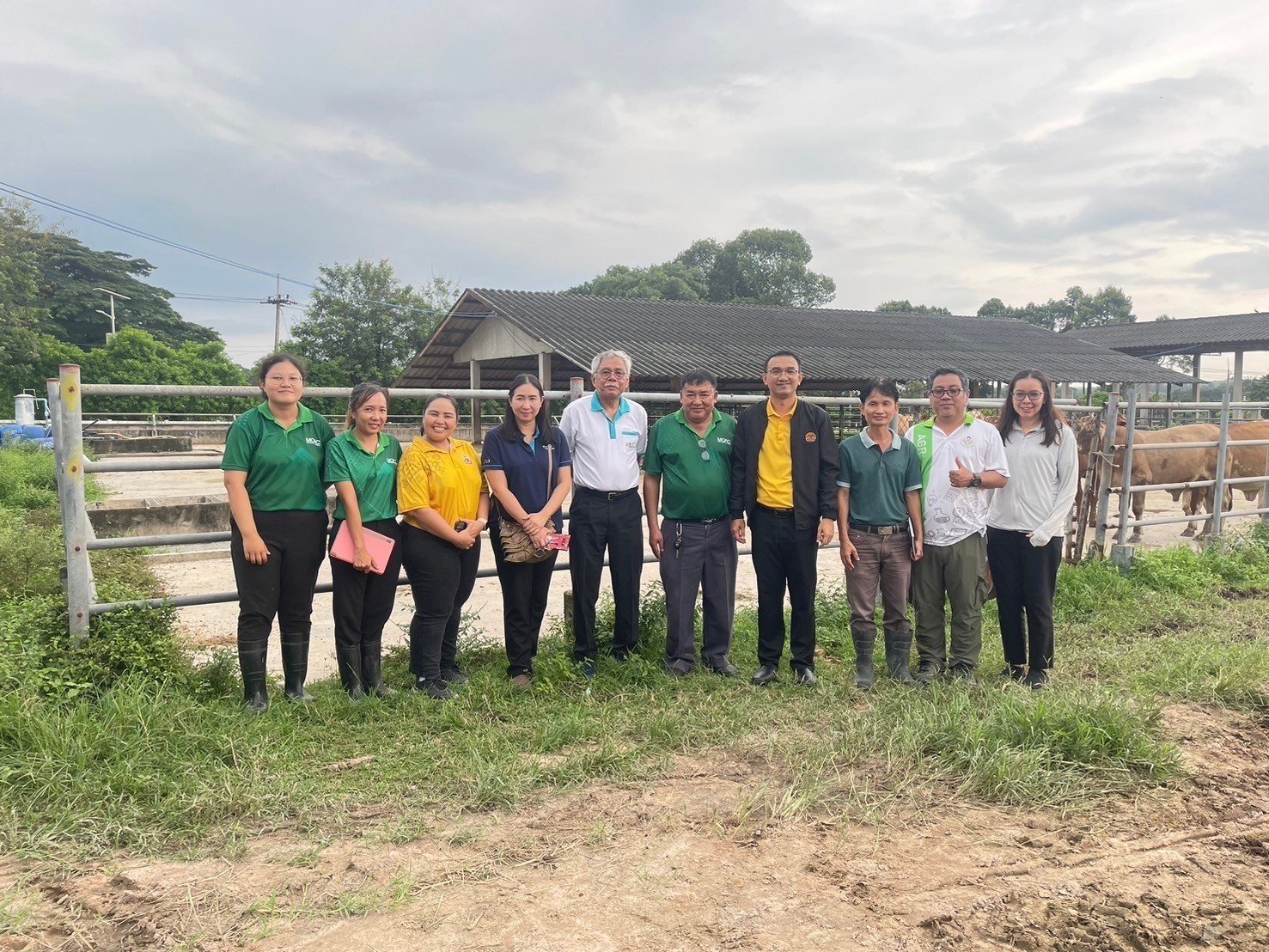 Technology Transfer of Using High-Efficiency Microorganisms in the Fermentation Process of Durian Peels as Cattle Feed by Associate Professor Dr. Chok Sorajak and Dr. Khanchai Danmek Technology Transfer of Using High-Efficiency Microorganisms in the Fermentation Process of Durian Peels as Cattle Feed by Associate Professor Dr. Chok Sorajak and Dr. Khanchai Danmek