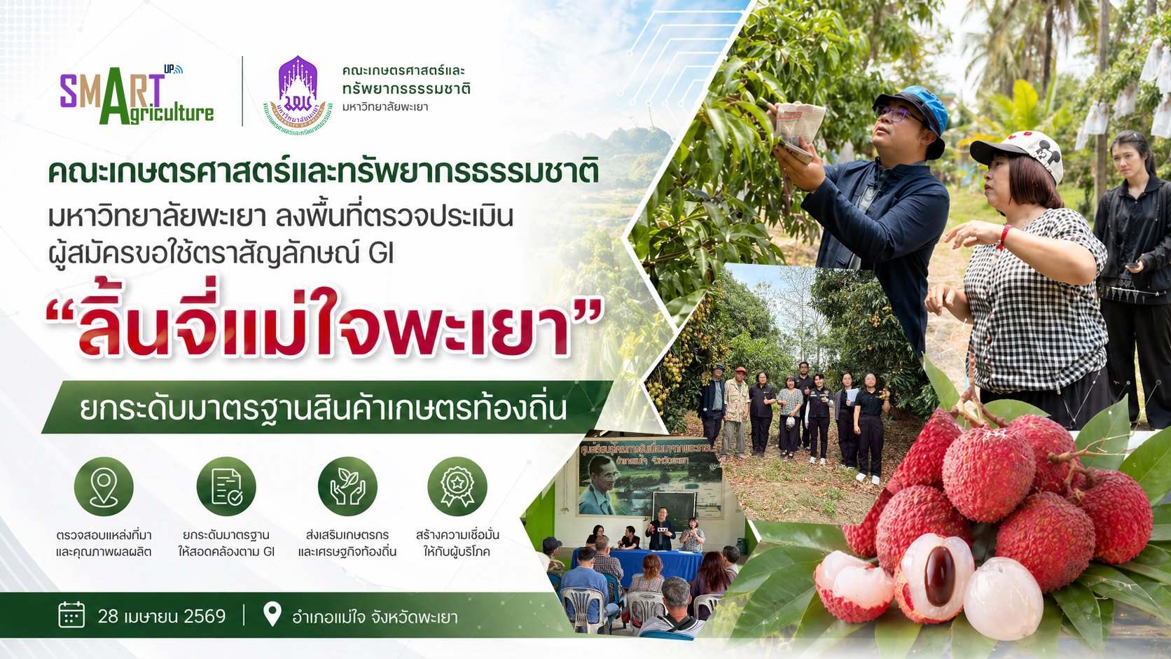 University of Phayao Conducts GI Evaluation for Mae Chai Lychee to Enhance Local Agricultural Standards