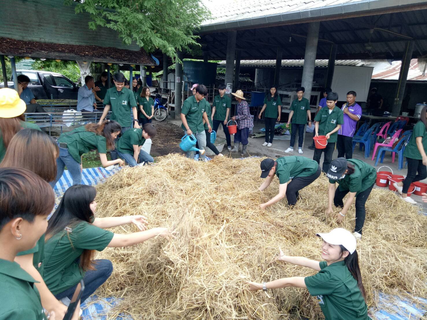 คณะเกษตรศาสตร์และทรัพยากรธรรมชาติ ม.พะเยา ออกพื้นที่การอบรมเชิงปฏิบัติการผลิตอาหารสัตว์ต้นทุนต่ำอย่างปลอดภัย อำเภอแม่ใจ จังหวัดพะเยา ให้เเก่นิสิตและกลุ่มเกษตรกรในพื้นที่รับผิดชอบโครงการ 1 คณะ 1 โมเดล คณะเกษตรศาสตร์และทรัพยากรธรรมชาติ ม.พะเยา ออกพื้นที่การอบรมเชิงปฏิบัติการผลิตอาหารสัตว์ต้นทุนต่ำอย่างปลอดภัย อำเภอแม่ใจ จังหวัดพะเยา ให้เเก่นิสิตและกลุ่มเกษตรกรในพื้นที่รับผิดชอบโครงการ 1 คณะ 1 โมเดล