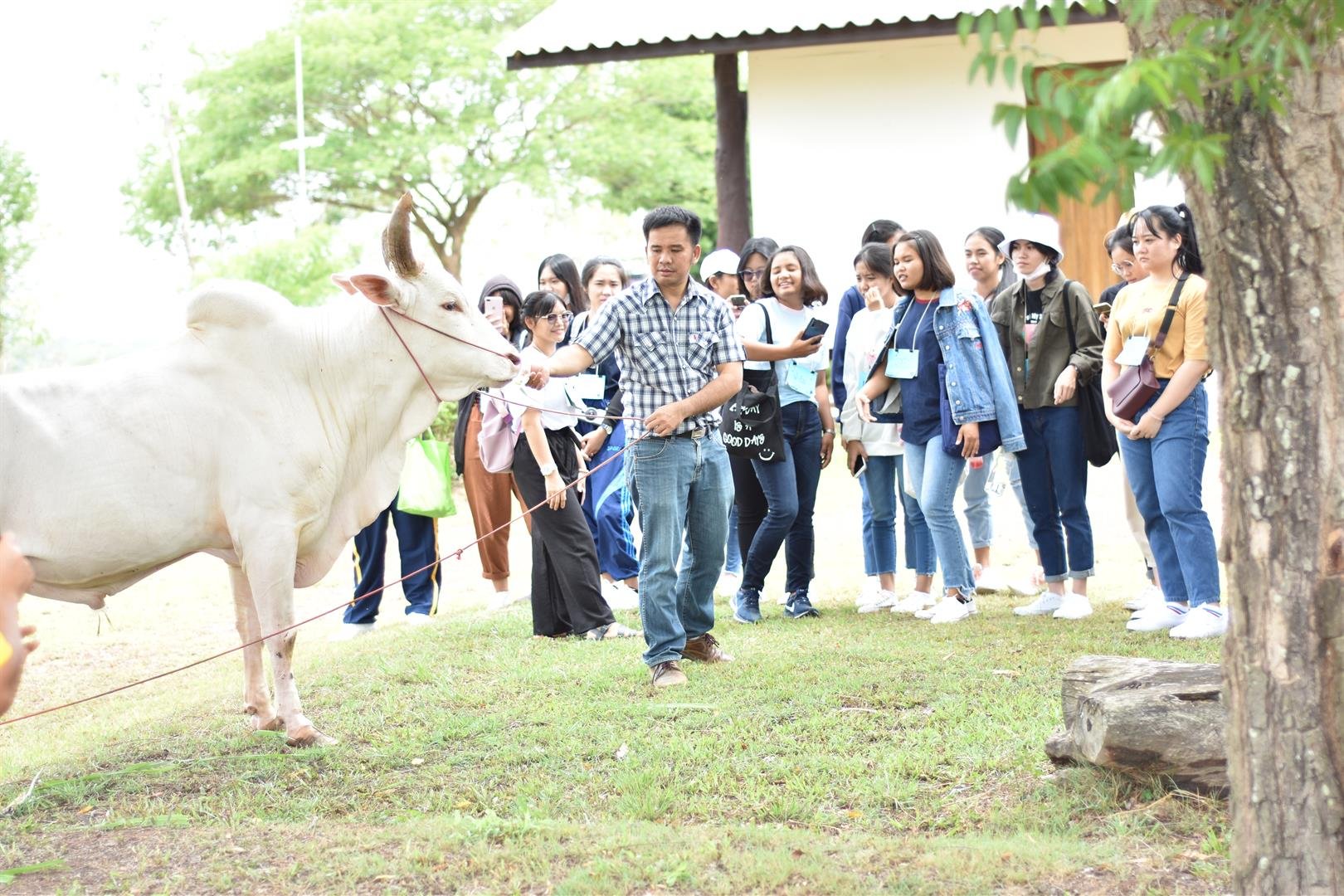 คณะเกษตรศาสตร์และทรัพยากรธรรมชาติ ม.พะเยา จัดกิจกรรม " สืบสานภูมิปัญญาและวัฒนธรรมการเลี้ยงและการคัดเลือกโคเนื้อพื้นเมืองขาวล้านนาของจังหวัดพะเยา "   คณะเกษตรศาสตร์และทรัพยากรธรรมชาติ ม.พะเยา จัดกิจกรรม " สืบสานภูมิปัญญาและวัฒนธรรมการเลี้ยงและการคัดเลือกโคเนื้อพื้นเมืองขาวล้านนาของจังหวัดพะเยา "