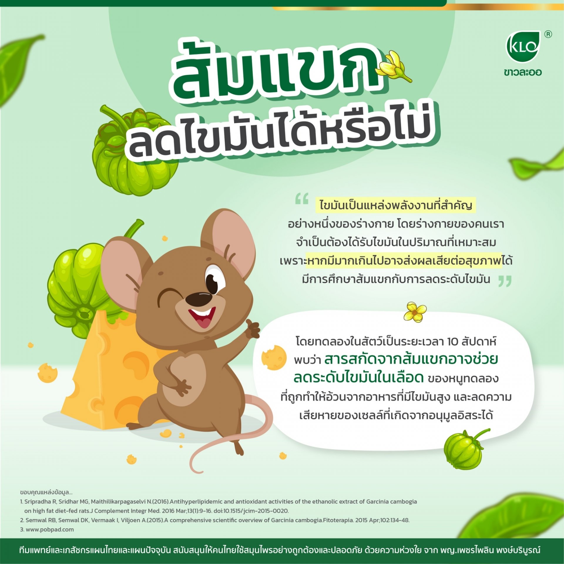 Garcinia Cambogia can you lose fat? Garcinia Cambogia can you lose fat?