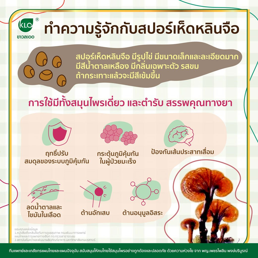 Get to know the lingzhi spores. Get to know the lingzhi spores.