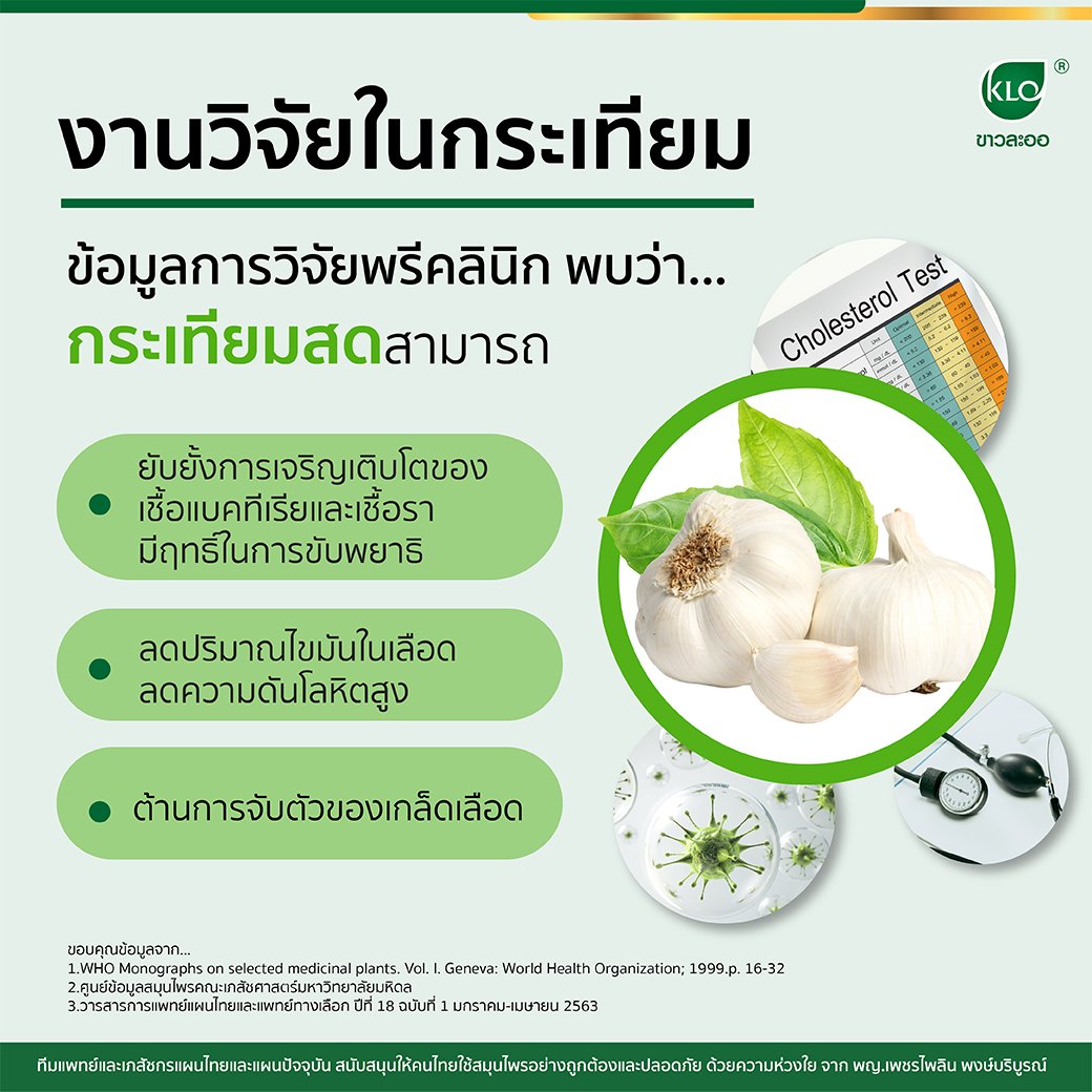 งานวิจัยในกระเทียม งานวิจัยในกระเทียม