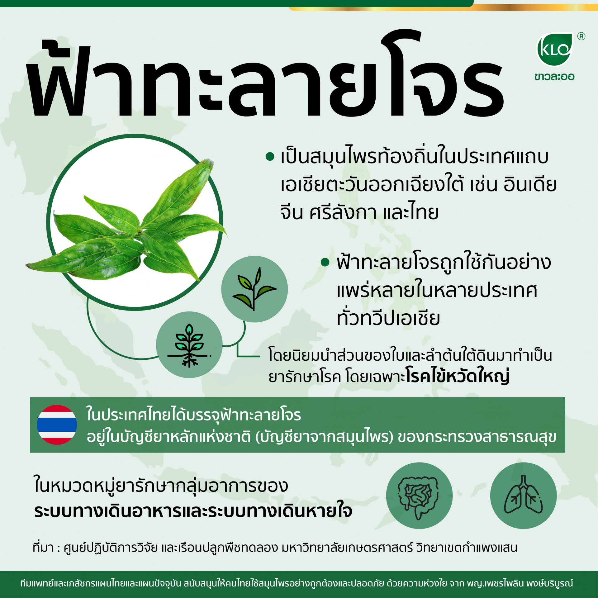 ฟ้าทะลายโจร ฟ้าทะลายโจร