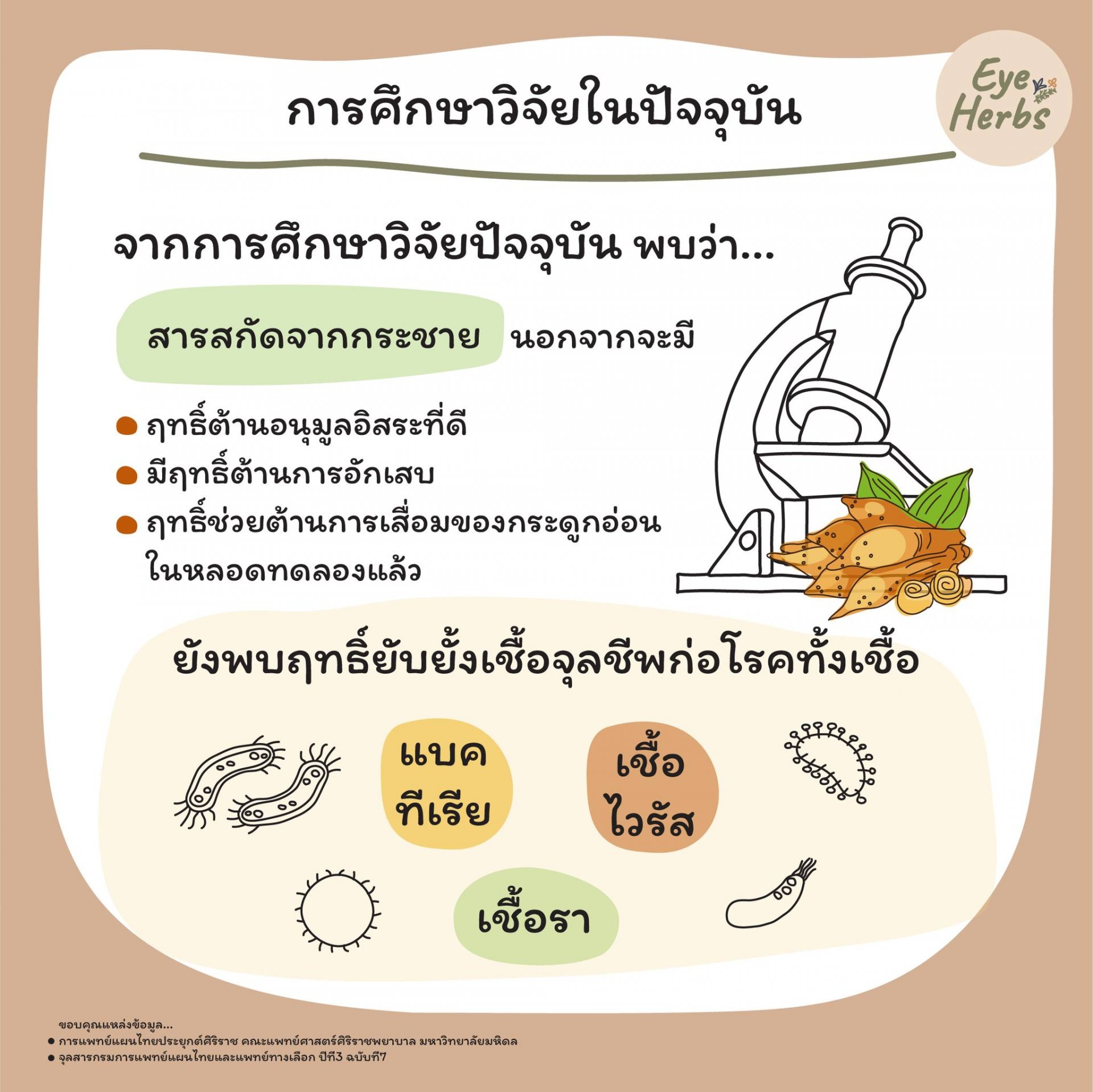 Current research studies Kaempferia extract Current research studies Kaempferia extract