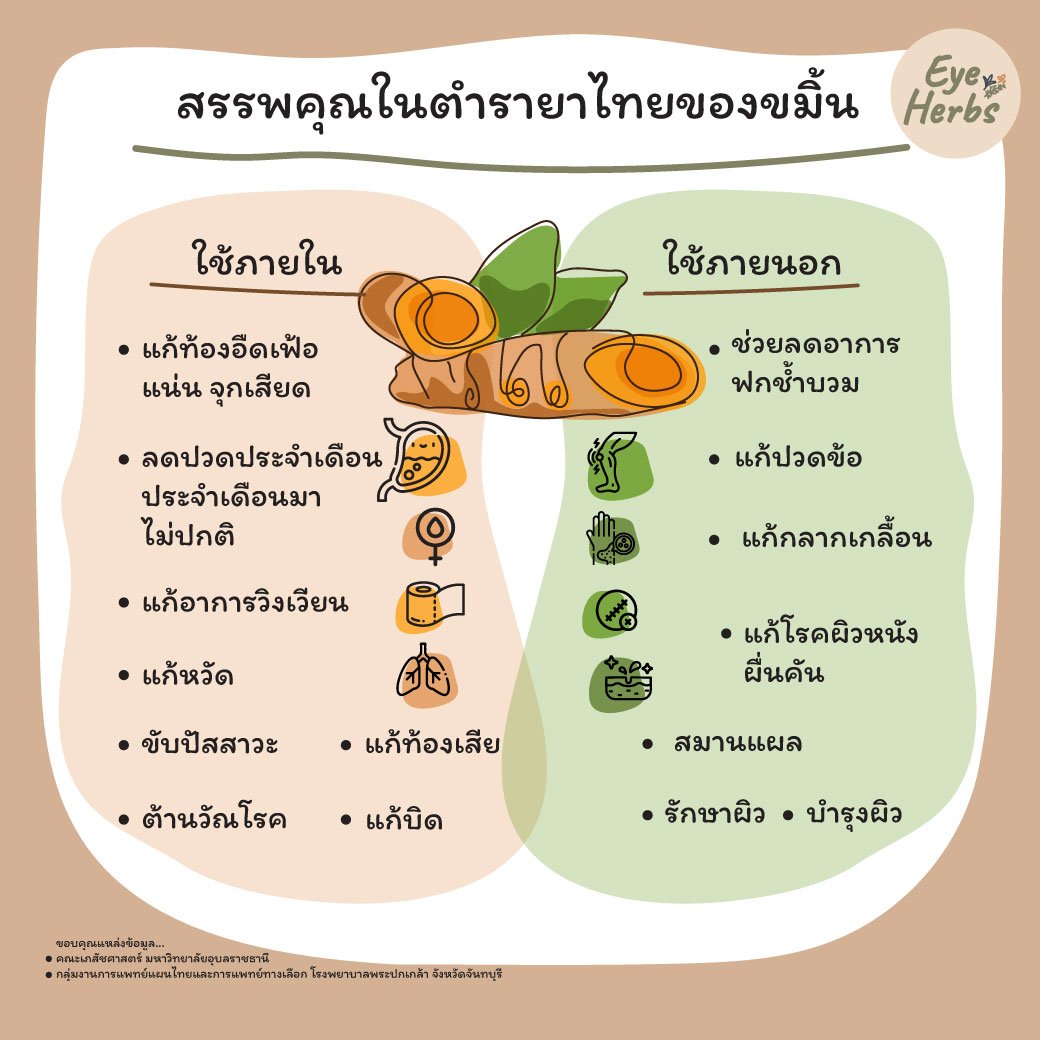 สรรพคุณในตำรายาไทยของขมิ้นชัน สรรพคุณในตำรายาไทยของขมิ้นชัน