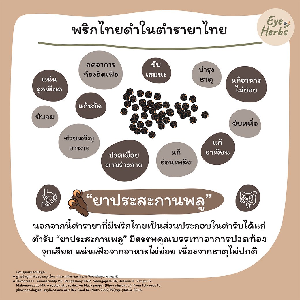 Black pepper in Thai medicine textbooks