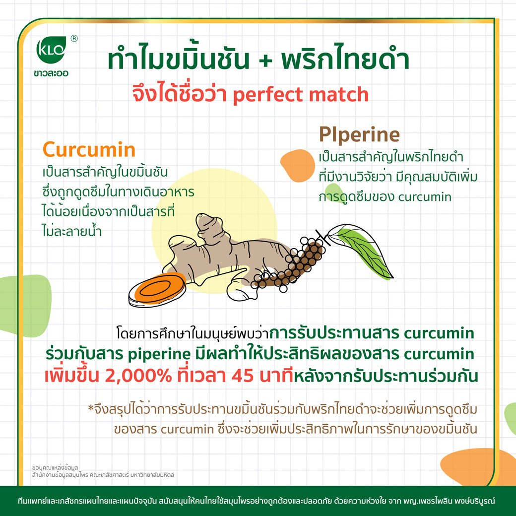 Why Turmeric + Black Pepper is called the perfect match? Why Turmeric + Black Pepper is called the perfect match?