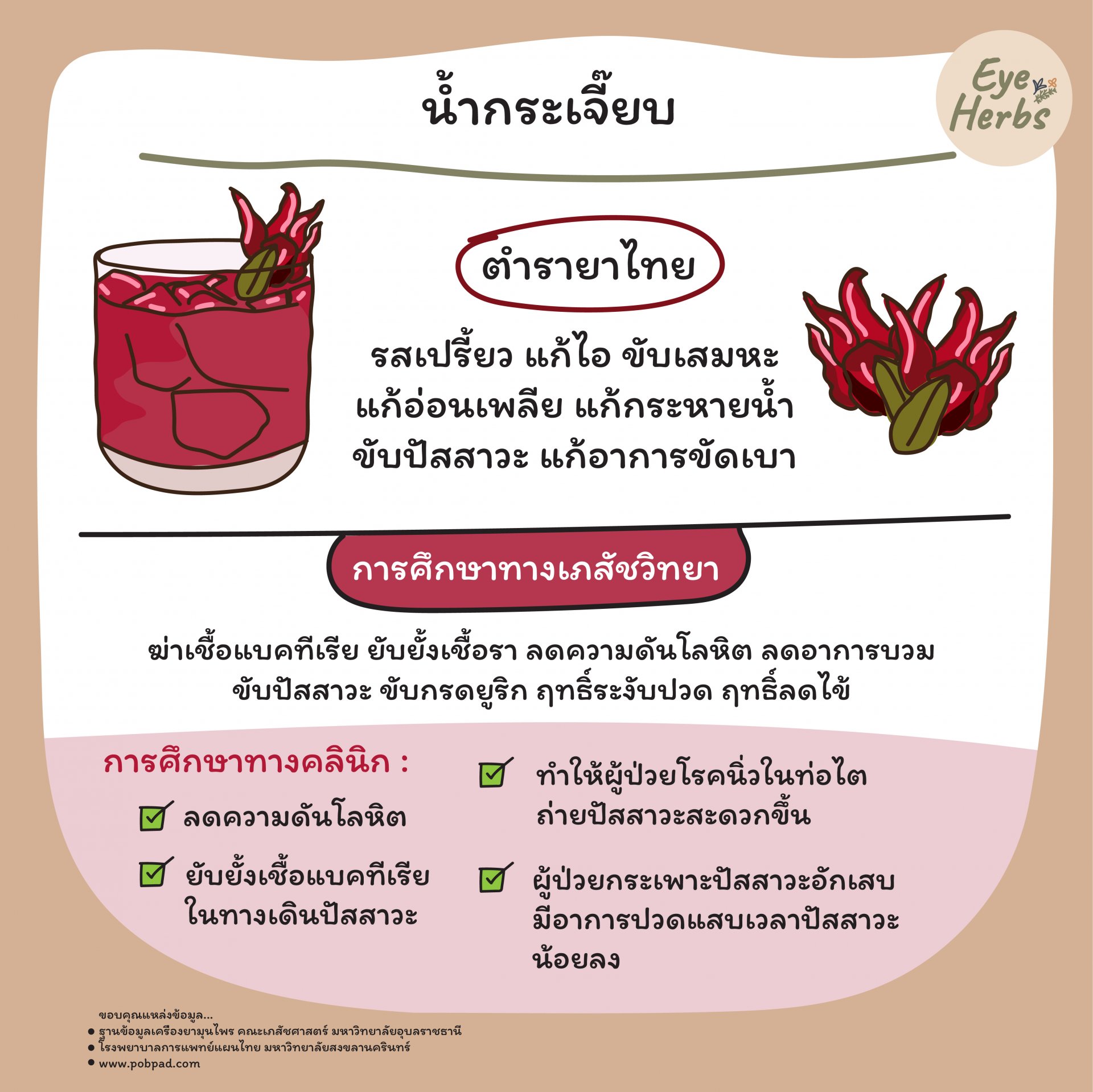 น้ำกระเจี๊ยบ น้ำกระเจี๊ยบ