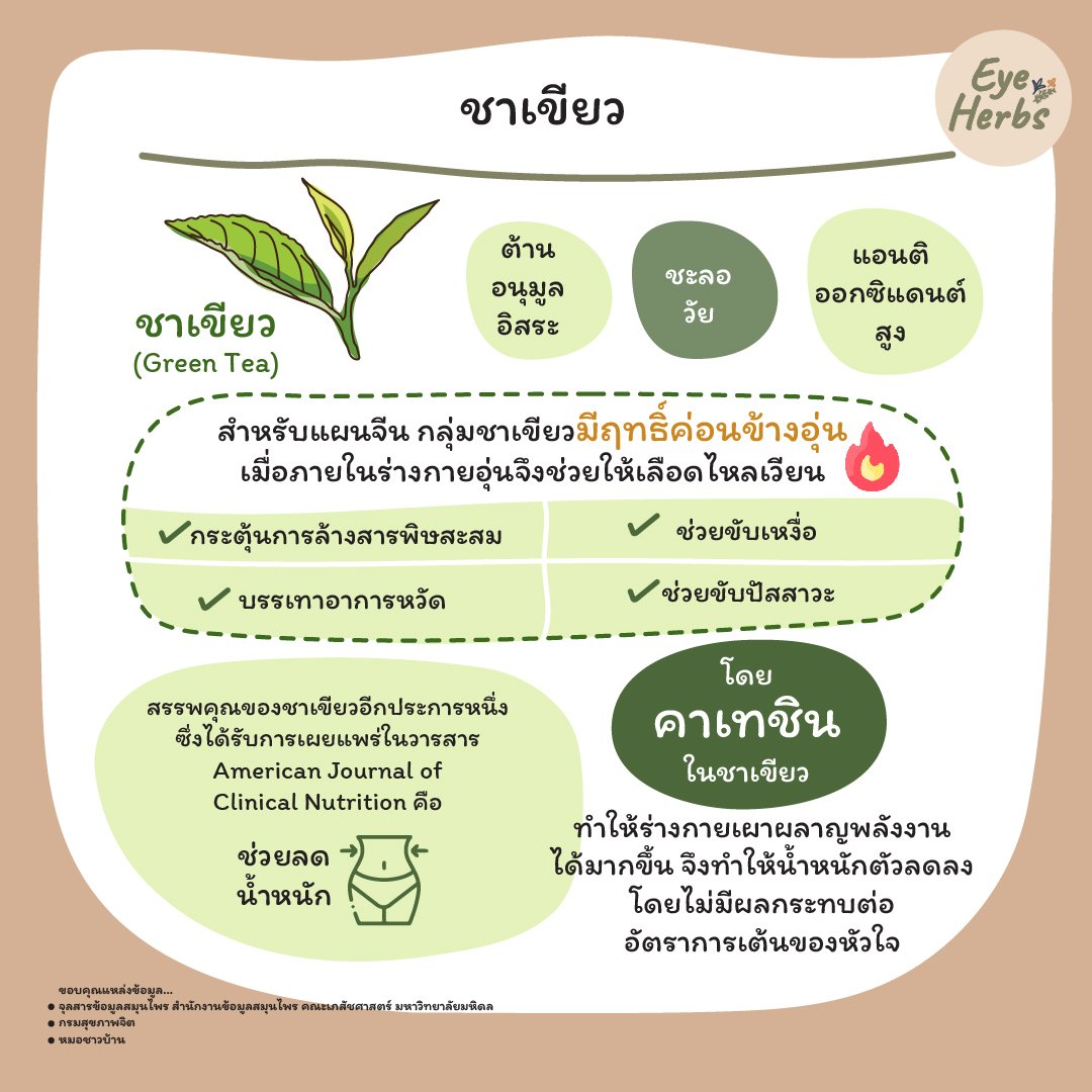 ชาเขียว (Green Tea) ช่วยต้านอนุมูลอิสระ ชะลอวัย มีสารแอนติออกซิแดนต์สูง ชาเขียว (Green Tea) ช่วยต้านอนุมูลอิสระ ชะลอวัย มีสารแอนติออกซิแดนต์สูง