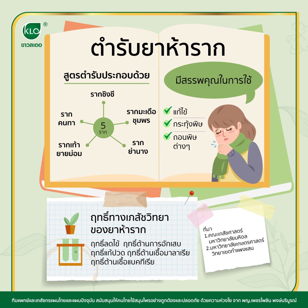 Five Root Medicine Recipes Five Root Medicine Recipes