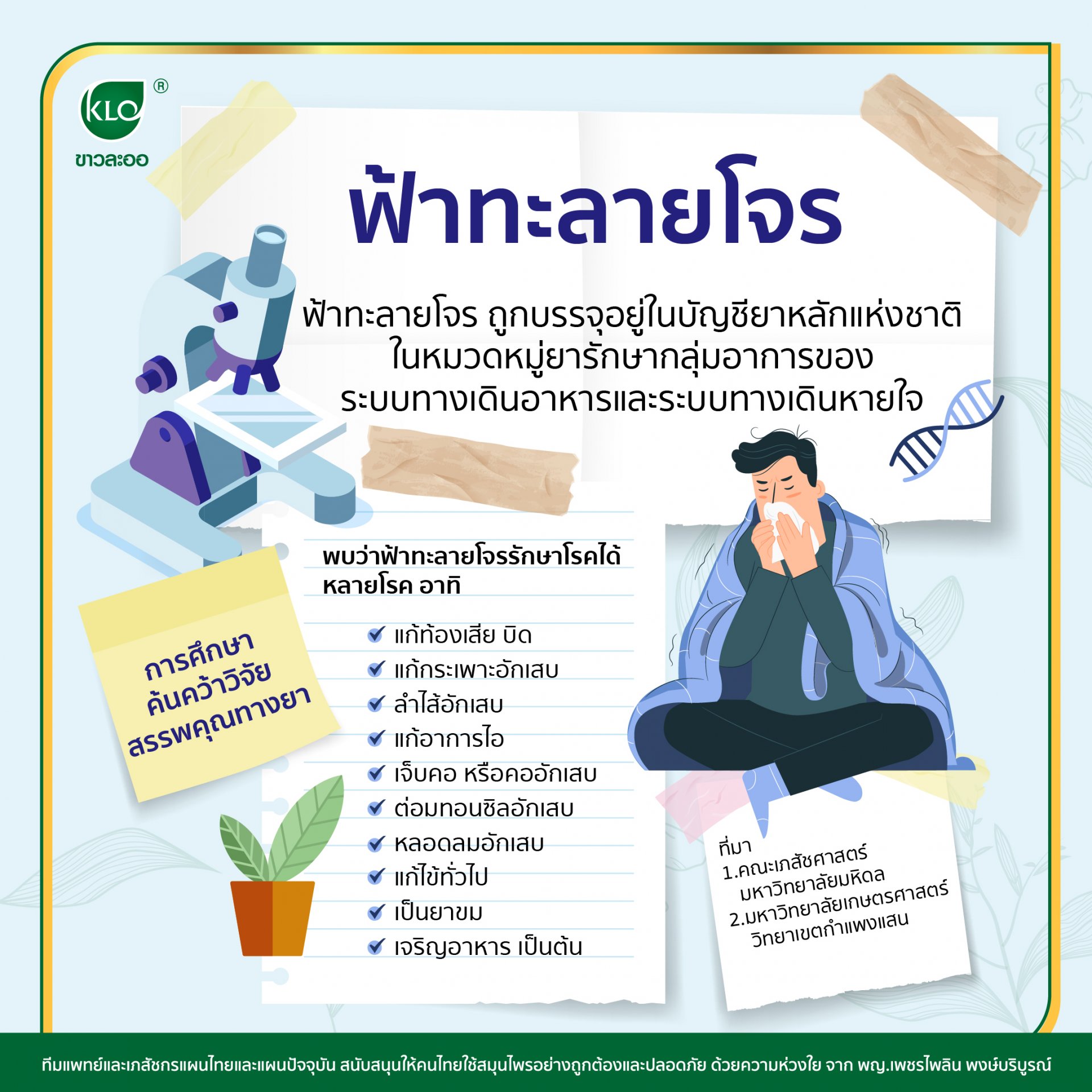 ฟ้าทะลายโจร ฟ้าทะลายโจร