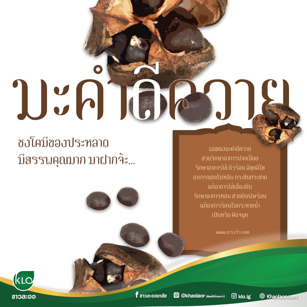 มะคำดีควาย ของประหลาดเเต่มีสรรพคุณมาก มะคำดีควาย ของประหลาดเเต่มีสรรพคุณมาก