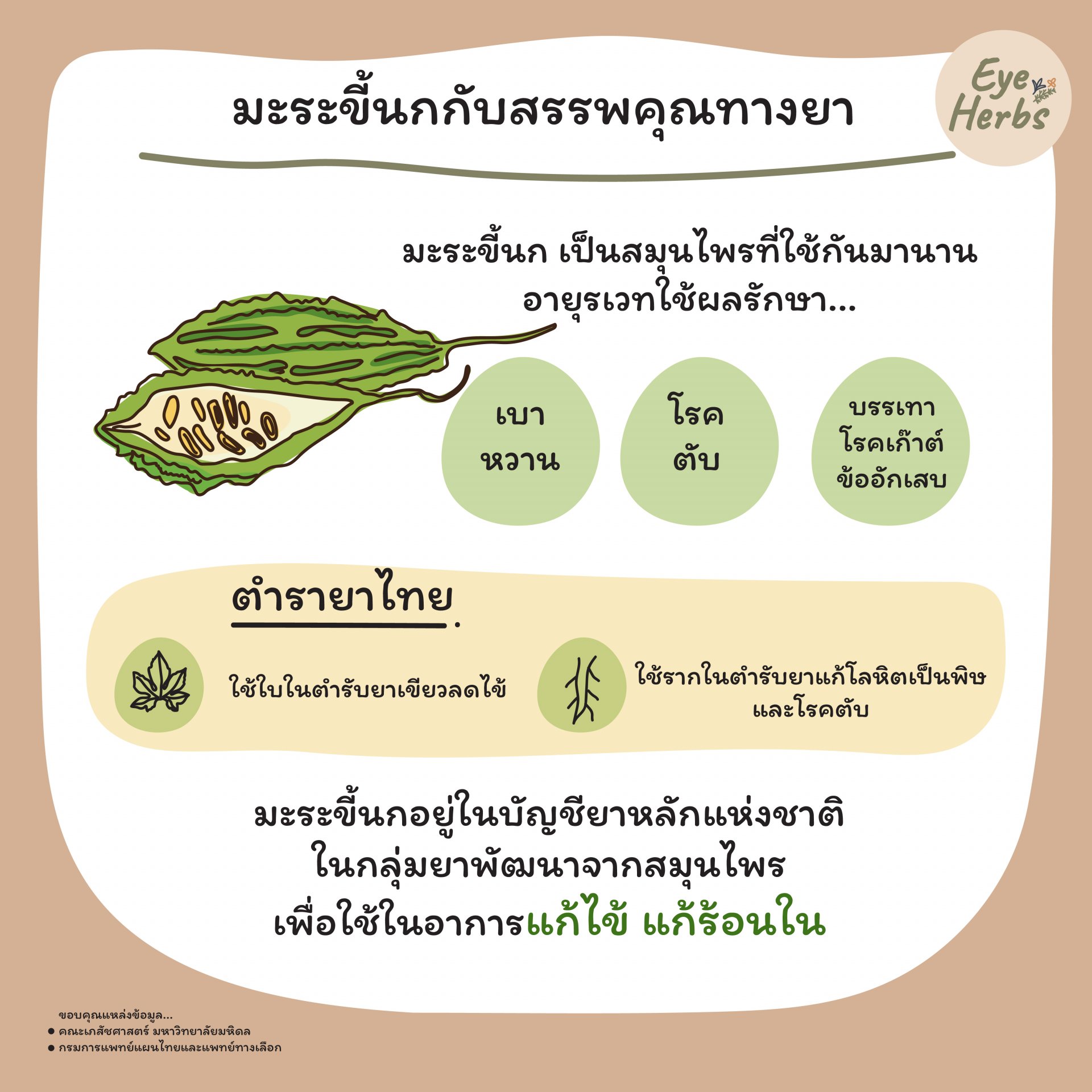มะระขี้นกกับสรรพคุณทางยา มะระขี้นกกับสรรพคุณทางยา