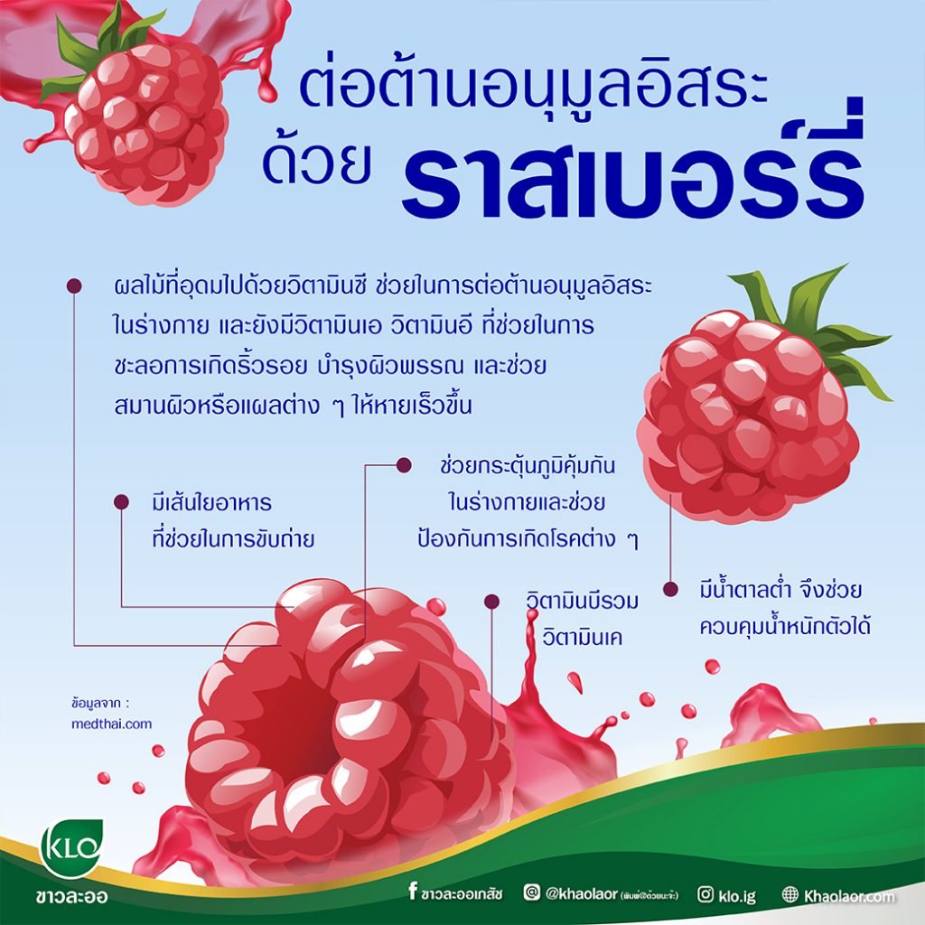 ต่อต้านอนุมูลอิสระด้วยราสเบอร์รี่ ต่อต้านอนุมูลอิสระด้วยราสเบอร์รี่