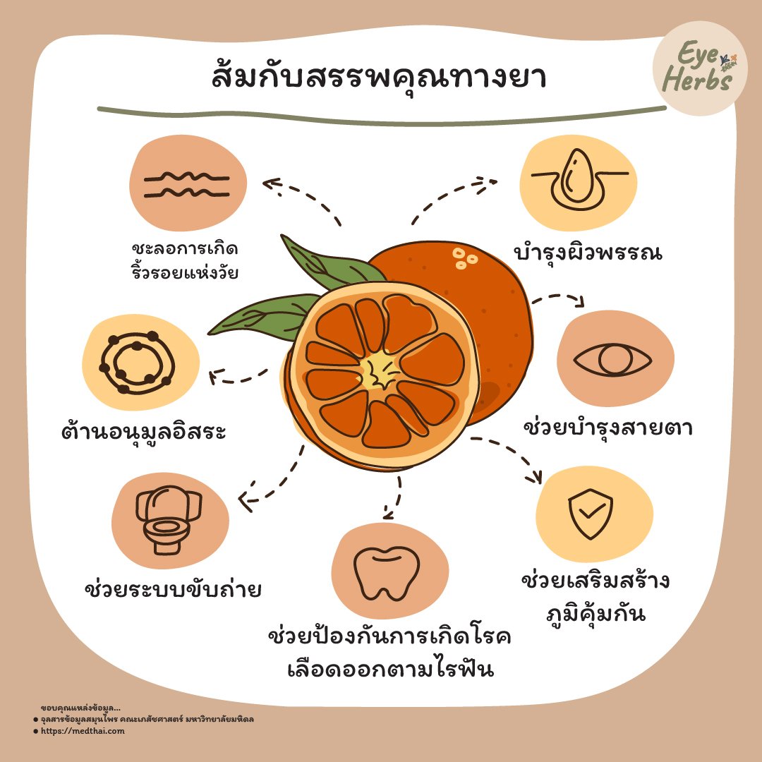 Orange and medicinal properties Orange and medicinal properties
