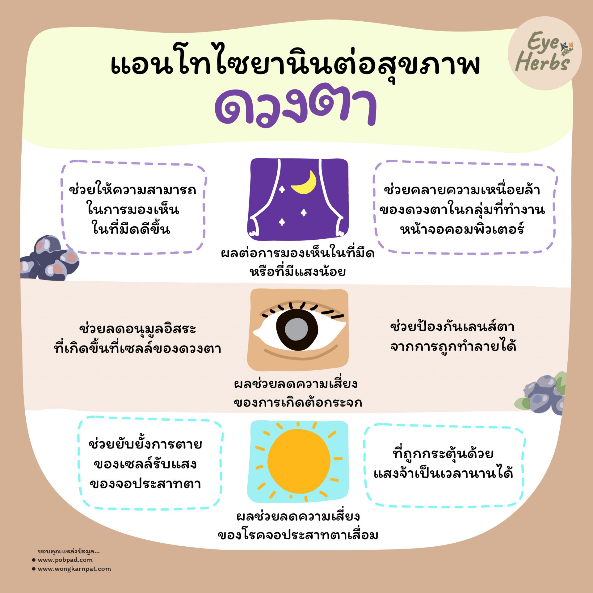 Anthocyanins for Eye Health