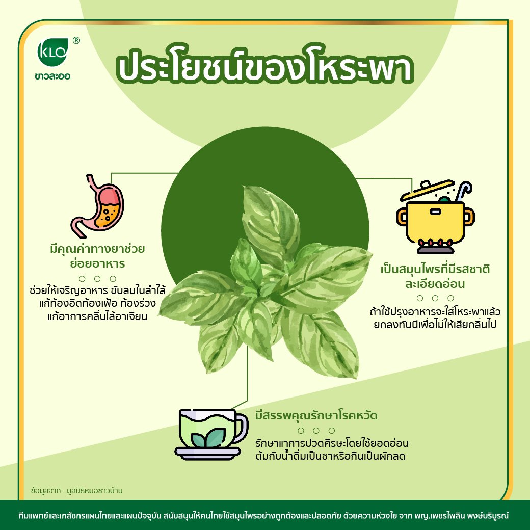 ประโยชน์ของโหระพา ประโยชน์ของโหระพา