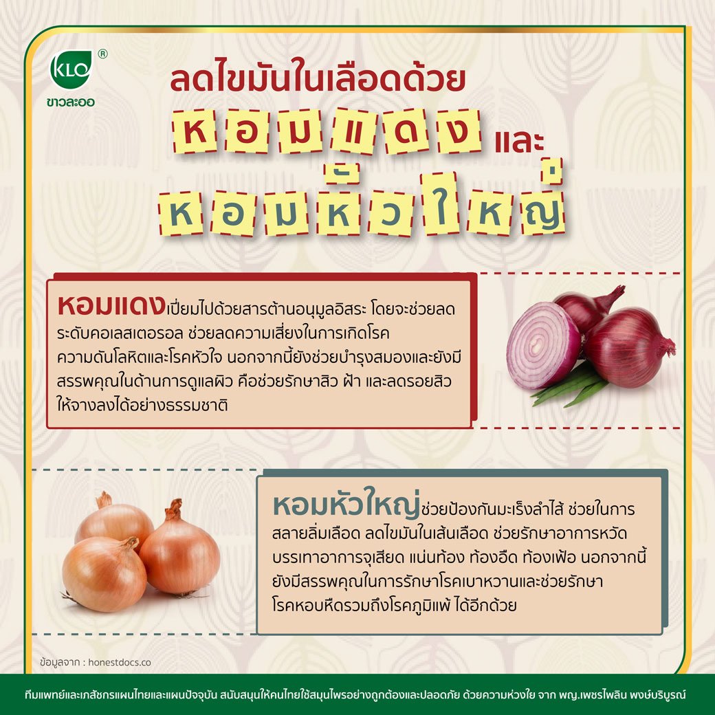 ลดไขมันในเลือดด้วย หอมแดงและหอมหัวใหญ่ ลดไขมันในเลือดด้วย หอมแดงและหอมหัวใหญ่